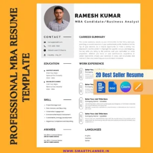 Professional MBA resume template for job aspirant